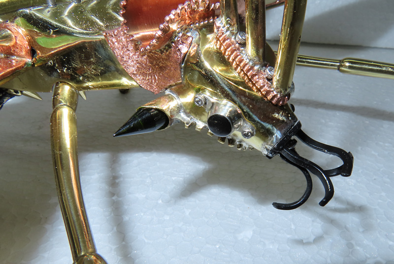 Buzz Beetle Fighter close-up of head