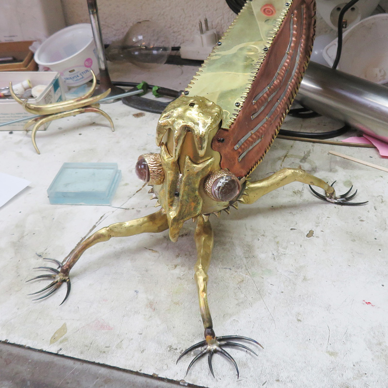 Ecuadorian Treehopper woring on the face