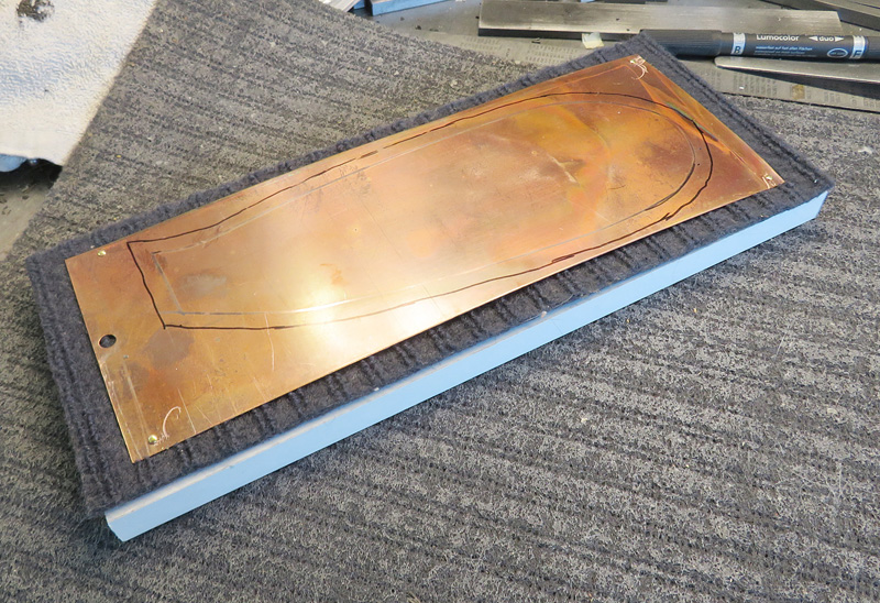 Ecuadorian Treehopper making wings