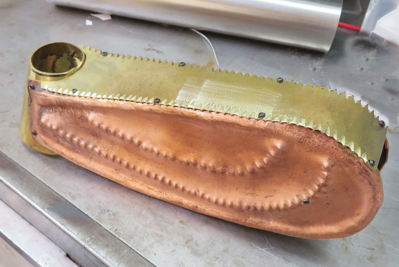 Ecuadorian Treehopper making body