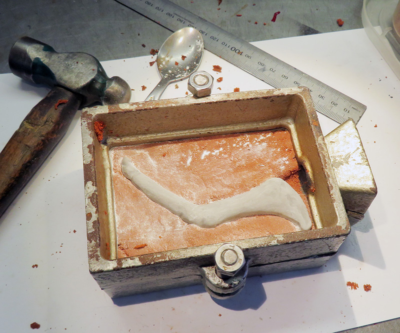 Ecuadorian Treehopper casting the legs