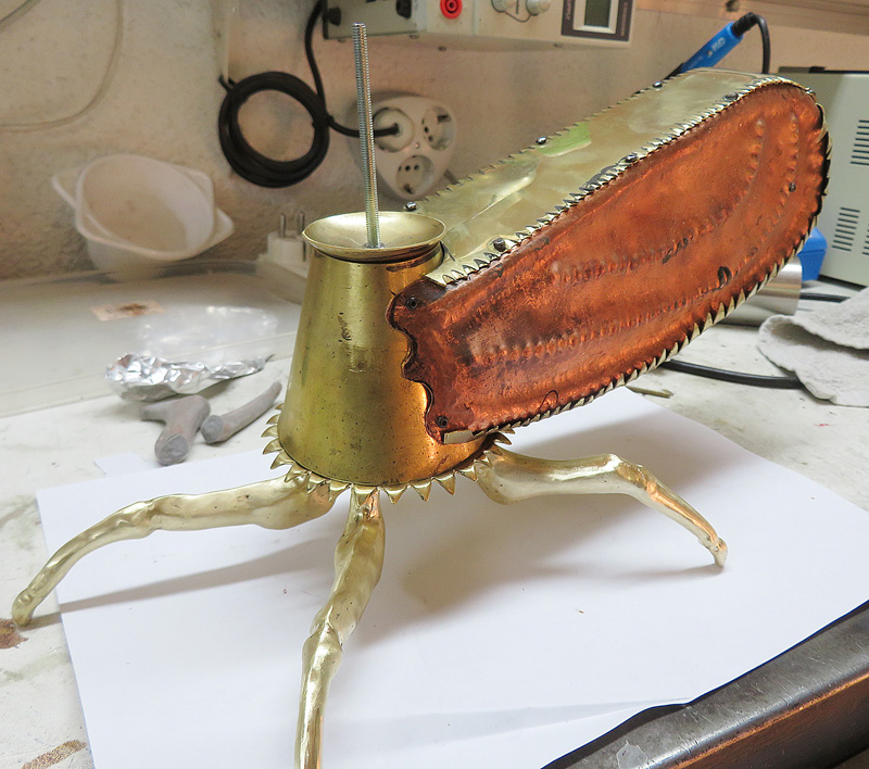 Ecuadorian Treehopper fitting the  legs