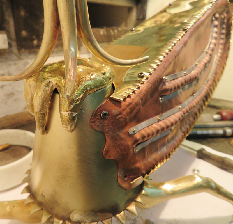 Ecuadorian Treehopper close-up of neck