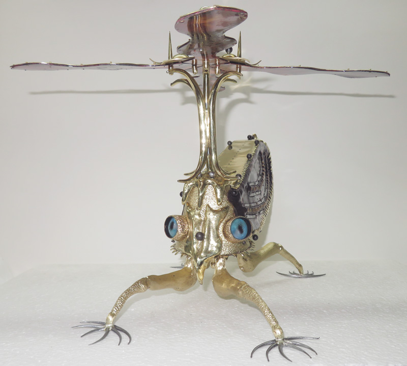 Ecuadorian Treehopper front view