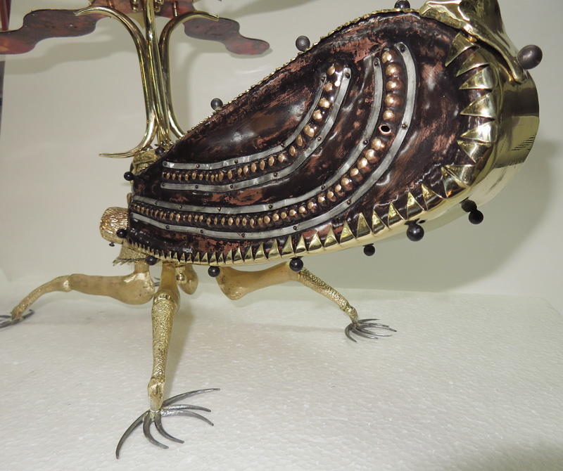 Ecuadorian Treehopper underside