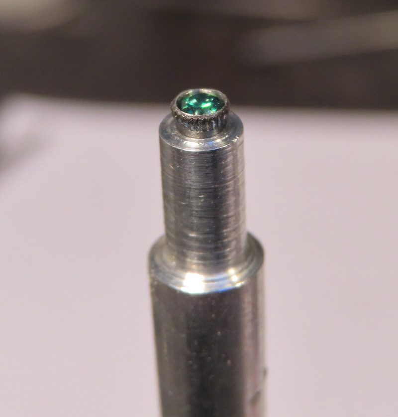 Tern Fighter Sculpture gem screws